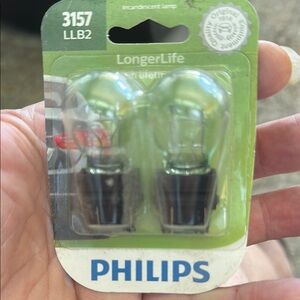 Philips LongerLife Incandescent Lamp - Green and Black